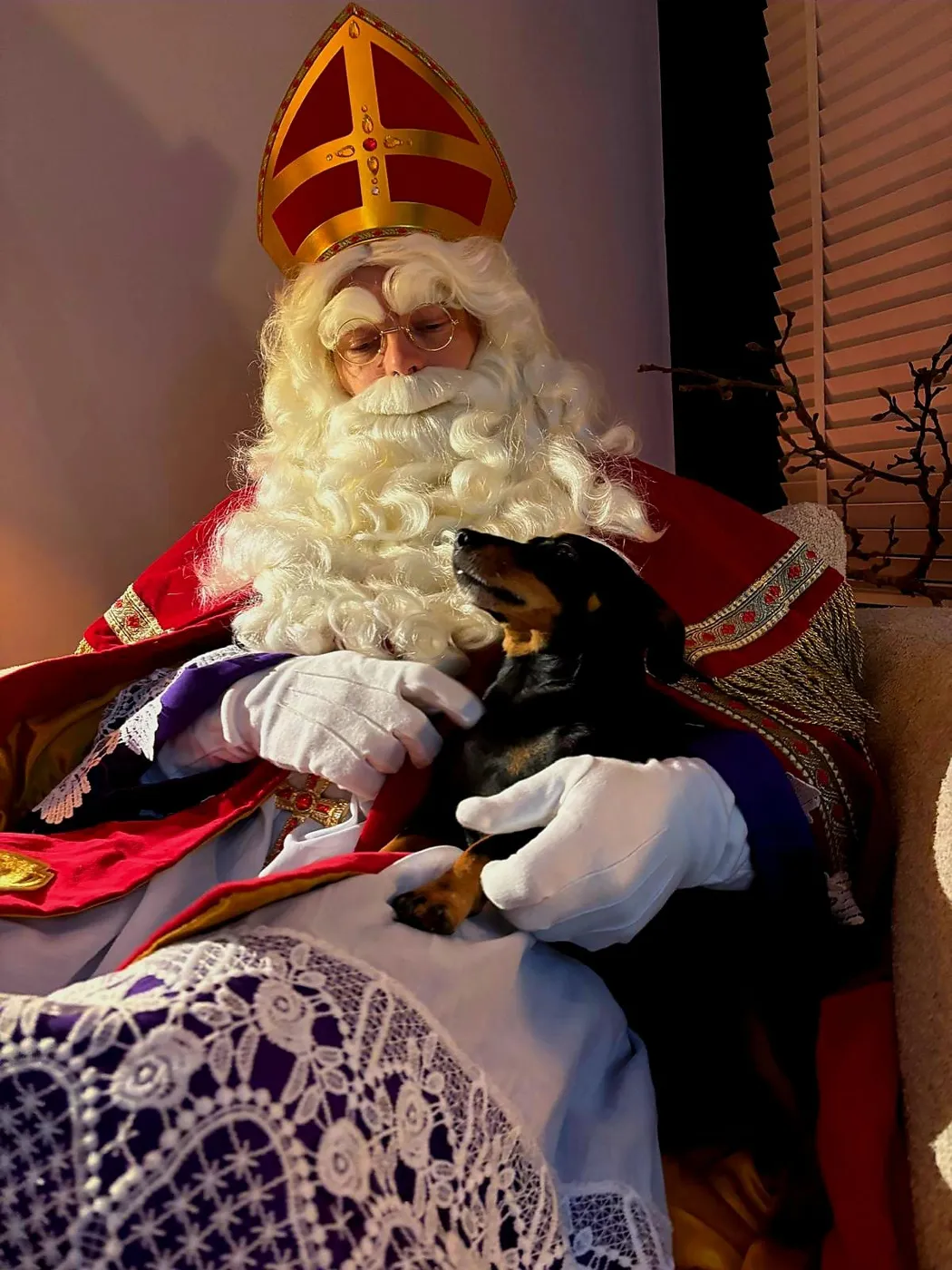 Sinterklaas met een teckel op schoot